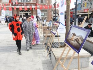 Fotoğraflarla Yenişehir Sergisine Yoğun İlgi