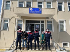 Jandarmadan D-650 Karayolunda Uyuşturucu Operasyonu: 2 Tutuklama