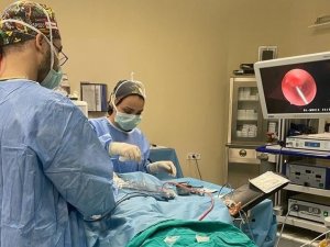 Şanlıurfa’da 7 Yaşındaki Kız Çocuğuna Başarılı Ameliyat