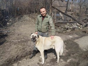 Kendilerini Yangından Kurtaran Köpeği Gözyaşları İçinde Sevdiler