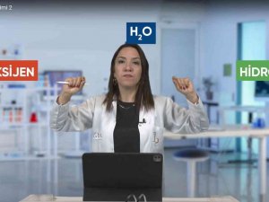 Tv Bek Yeni Yüzüyle Geri Döndü