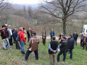 Yalova’da Çiftçilere Trabzon Hurması Budama Eğitimi