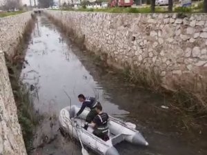 Antalya’da Kanala Düşen Köpek, Ekipleri Peşine Taktı
