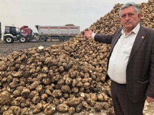 Sadi Aktaş: "Türkiye’ye Yetecek Ve İhracat Yapacak Şeker Var"