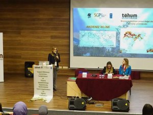 Beypazarı’nda Kapari Bitkisi İçin Bilgilendirme Toplantısı Yapıldı