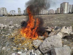 Ev Faresi Yakalandı