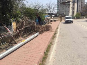 2 Yıl Önce Kazayı Kıl Payı Atlatan Köpek Bu Kez Kurtulamadı