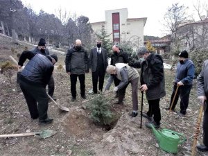 Kütahya’da Yaşlılar Fidan Dikti