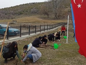 Beyşehir’de Üniversite Öğrencileri Fidanları Toprakla Buluşturdu