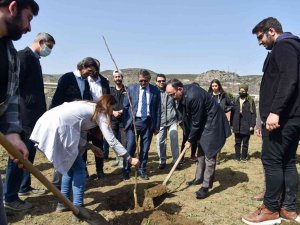 Eğitim Ve Araştırma Amaçlı 180 Adet Meyve Fidanı Toprakla Buluştu