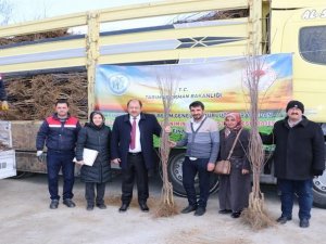 Erzincan’da Meyvecilik Sektörüne Yatırımlar Sürüyor