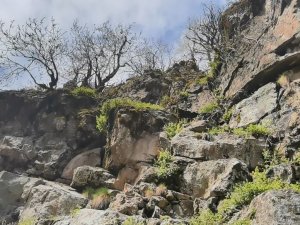 Kayalıklarda 6 Gündür Mahsur Kalan Keçiyi Dağcılar Kurtardı