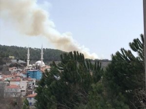Bursa’da İkinci Orman Yangını