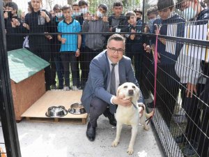 Manisa Büyükşehir Belediyesinden ’Can Dostum’ Projesi