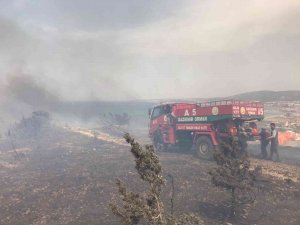 Çeşme’de Otluk Alandaki Yangına Ekipler Müdahale Ediyor