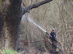 Kocaeli’de Ormanlık Alanda Yangın Çıktı