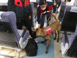 Bursa Jandarmasından Trende Köpekli Denetim