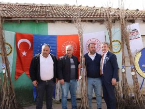 Mudanyalı Çiftçiye Trabzon Hurması Desteği