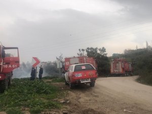 Bursa Gemlik’teki Orman Yangını Kontrol Altında