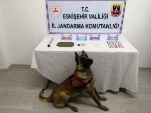 Eskişehir’de Uyuşturucu Operasyonu
