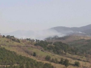 Çanakkale’de Orman Yangını