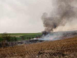 Tarla Yangını Hızlı Müdahaleyle Büyümeden Söndürüldü