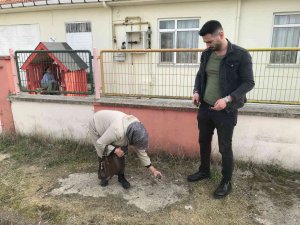 Okul Bahçesi Alemcilerin Yuvası Oldu İddiası