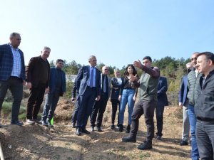Gtso’dan Her Üye İçin Bir Fidan