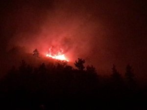 Çanakkale’deki Orman Yangını Soğuk Hava Deposu Tesislerini Tehdit Ediyor