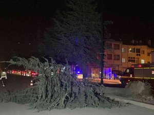 Lodosun Devirdiği Ağaç Yolu Ulaşıma Kapattı
