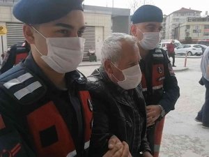 Bursa’da Hamile Köpeği Öldüren Zanlı Serbest Bırakıldı