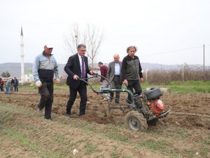 Vali Çapa Makinasının Başına Geçti Tarla Sürdü