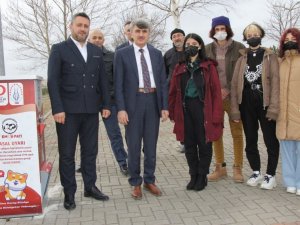 Dpü’de Sokak Hayvanları İçin Mamamatik Uygulaması