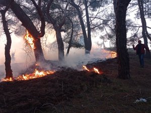 Balıkesir’de Gece Boyunca Çıkan 3 Orman Yangını Söndürüldü