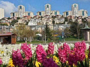 Başakşehir’de Bahar Hazırlıkları Başladı