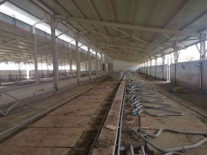 Besi Çiftliğinden Hırsızlık Yapan Kişi Jandarma Tarafından Yakalandı
