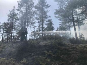 Kastamonu’da Orman Yangını, Polis Ekiplerinin Dikkati Sayesinde Büyümeden Söndürüldü