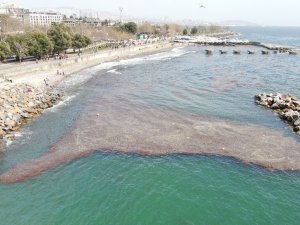 Caddebostan Sahilinde Deniz Çekildi, Yer Yer Kirlilik Oluştu