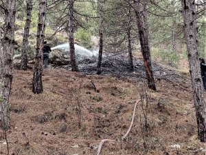 Kütahya’da Orman Yangını