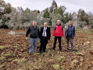 Köyceğiz’de Fideler Toprakla Buluştu