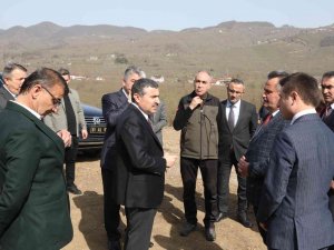 Cumayeri’nde Sokak Hayvanları İçin Bakımevi Yapılacak