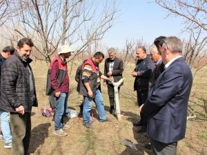 Iğdır’da Meyve Ağaçlarında Aşı Ve Budama Eğitimi