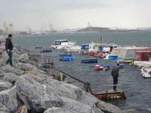 Pendik’te Vatandaşlar Şiddetli Dalgalarla Fotoğraf Çekindi