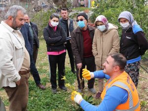Büyükşehir’den İlçelerde Budama Ve Aşı Eğitimi