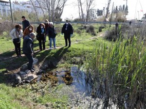 Antalya’da Müsilaj Tehlikesine Karşı Saha Çalışması