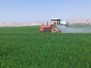 Çiftçilerin Bahar Mesaisi Başladı