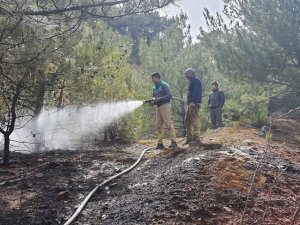 Banaz’da Orman Yangını