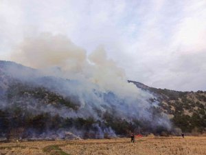 Çorum’daki Orman Yangını Kontrol Altına Alındı