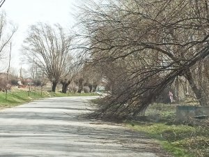 Şiddetli Rüzgar Afyonkarahisar’da Hayatı Olumsuz Etkiledi