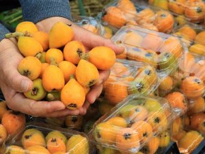 Örtü Altında “Yenidünya” Hasadı Başladı... Kilosu 200 Tl’den Satıldı